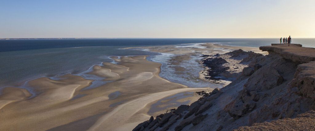 Stunning view of Dakhla City beaches, featuring soft golden sands, clear turquoise waters, and gentle waves lapping at the shore. Palm trees line the beach, with windsurfers and kitesurfers visible in the distance, capturing the vibrant coastal activity against a backdrop of sunny blue skies.
